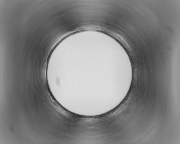 X0000110691228200907241057