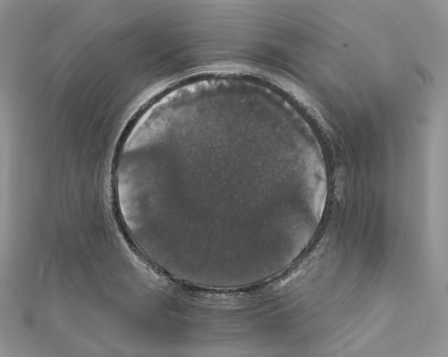 X0000110691229200907241057