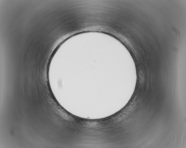 X0000110691230200907241057