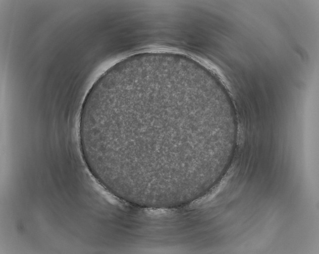 X0000110691231200907241057