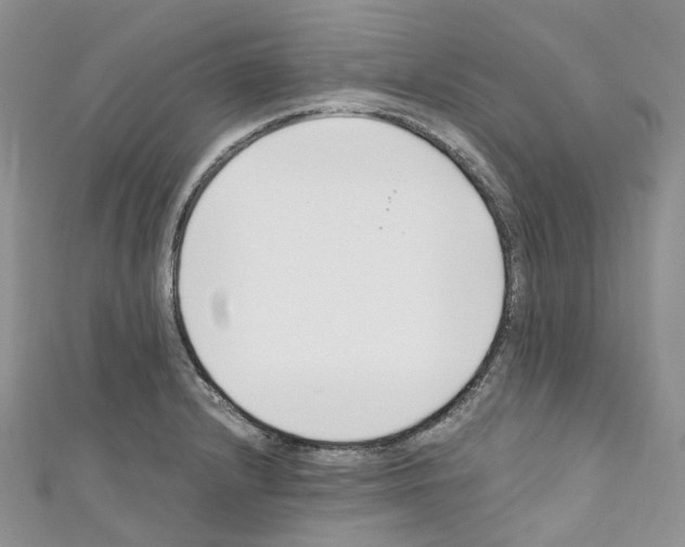 X0000110691232200907241057