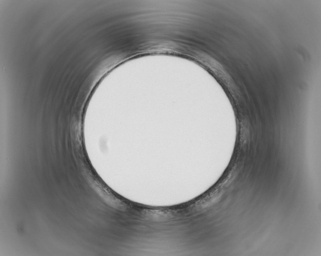 X0000110691234200907241057