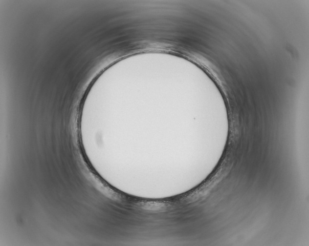 X0000110691235200907241057