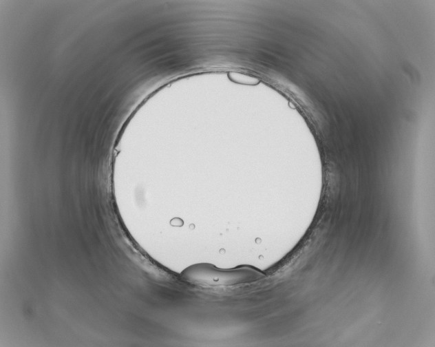 X0000110691236200907241057