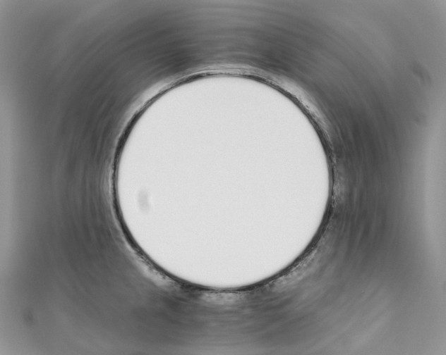 X0000110691237200907241057