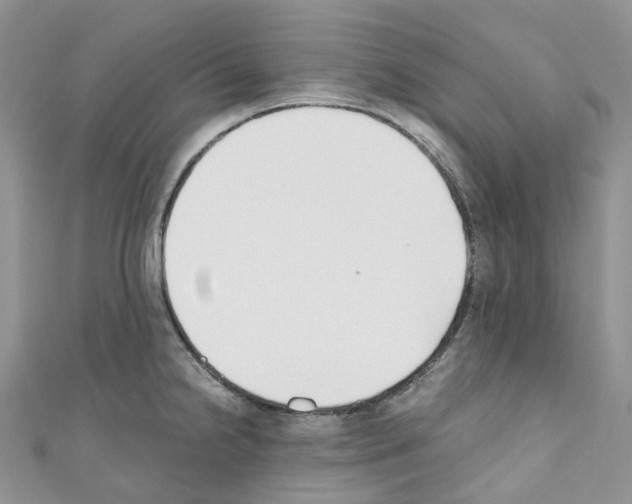 X0000110691238200907241057