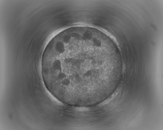 X0000110691239200907241057