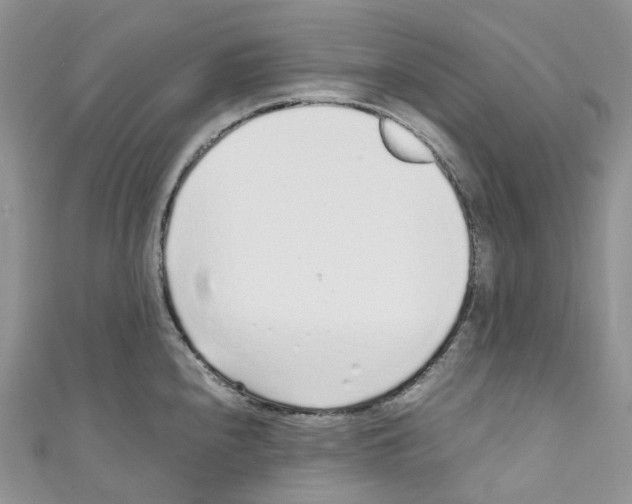 X0000110691240200907241057