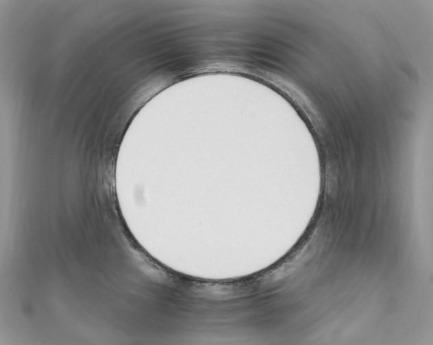 X0000110691241200907241057