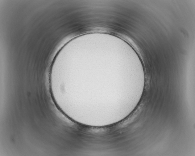 X0000110691243200907241057