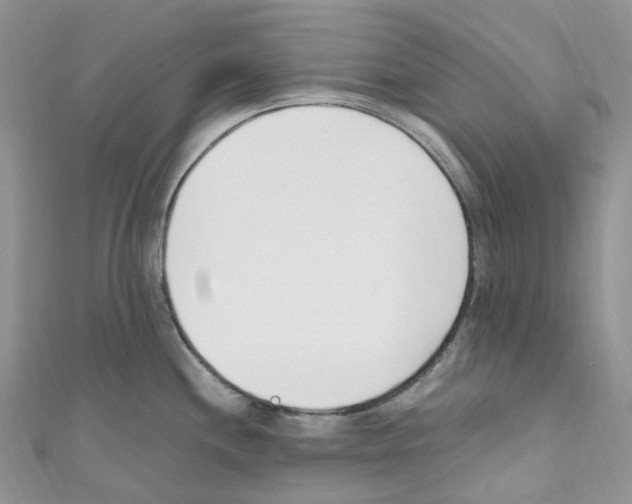 X0000110691244200907241057