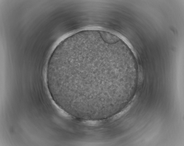 X0000110691245200907241057