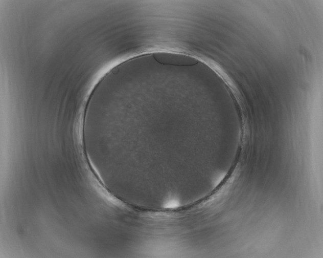 X0000110691246200907241057