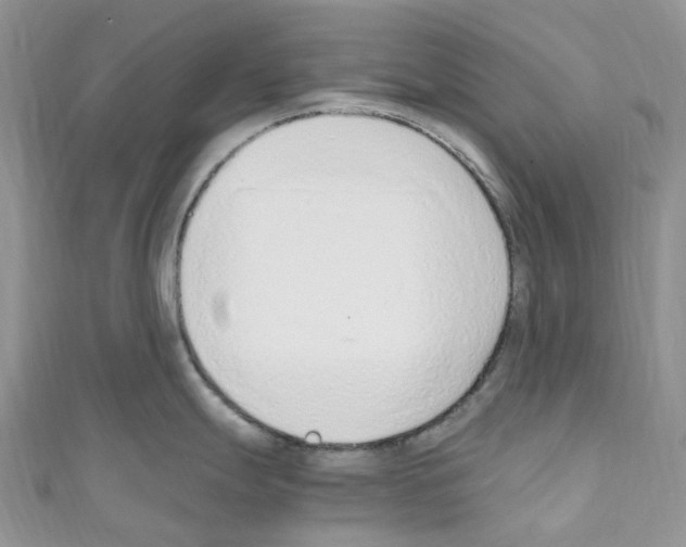 X0000110691247200907241057