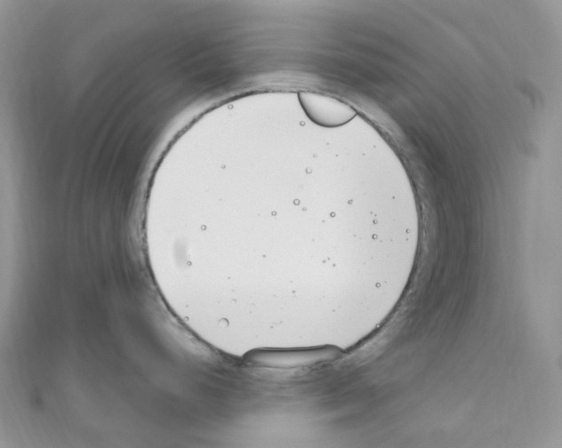 X0000110691248200907241057