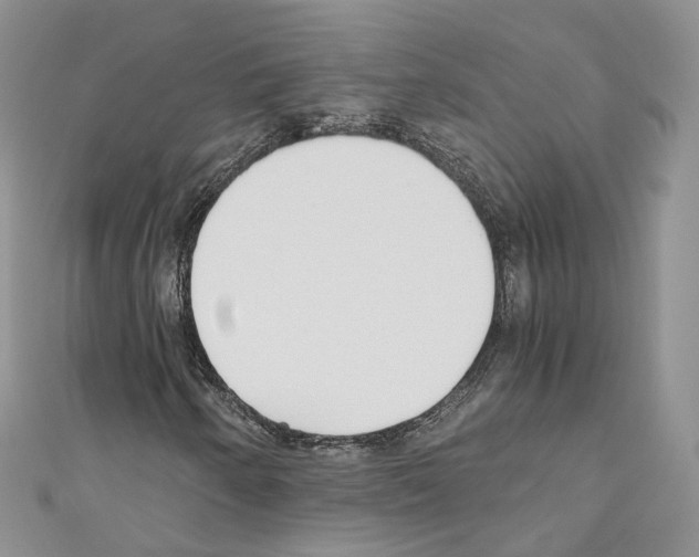 X0000110691250200907241056