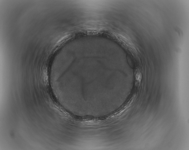 X0000110691252200907241056