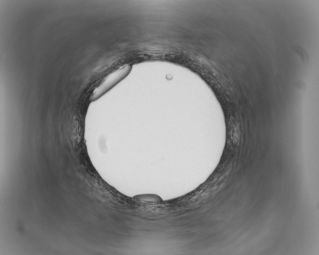 X0000110691253200907241056