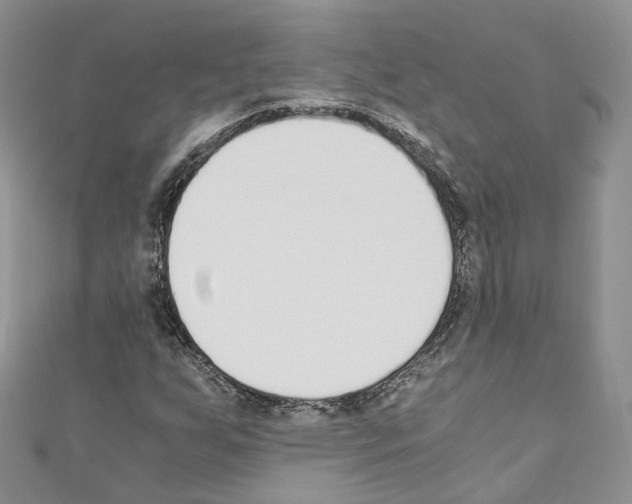 X0000110691255200907241056