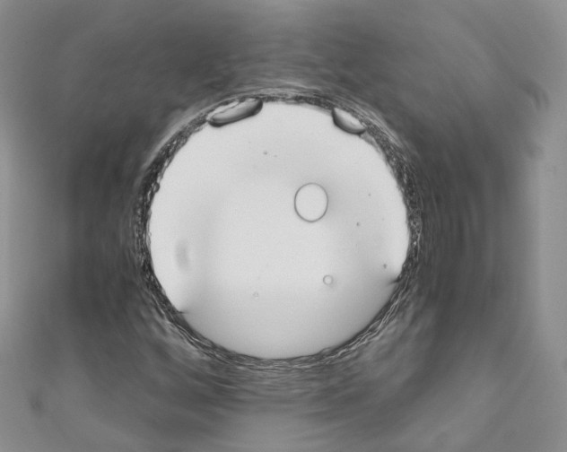 X0000110691256200907241056