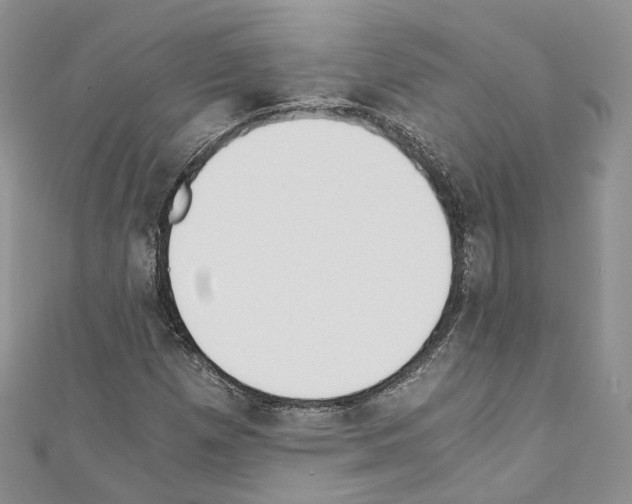 X0000110691257200907241056