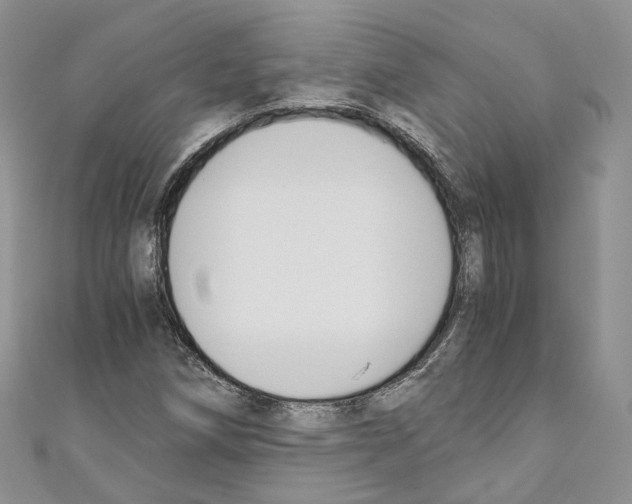 X0000110691258200907241056