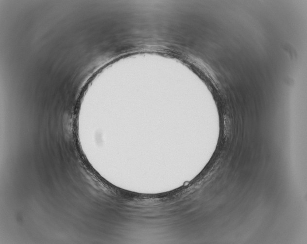 X0000110691260200907241056