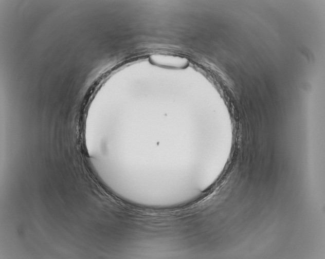 X0000110691261200907241056