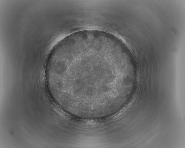 X0000110691263200907241056