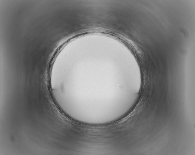 X0000110691264200907241056