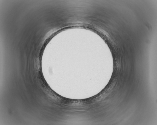 X0000110691267200907241056