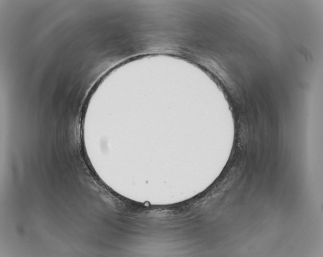 X0000110691268200907241056