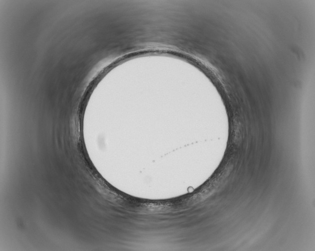 X0000110691271200907241056