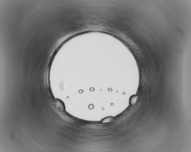 X0000110691272200907241056