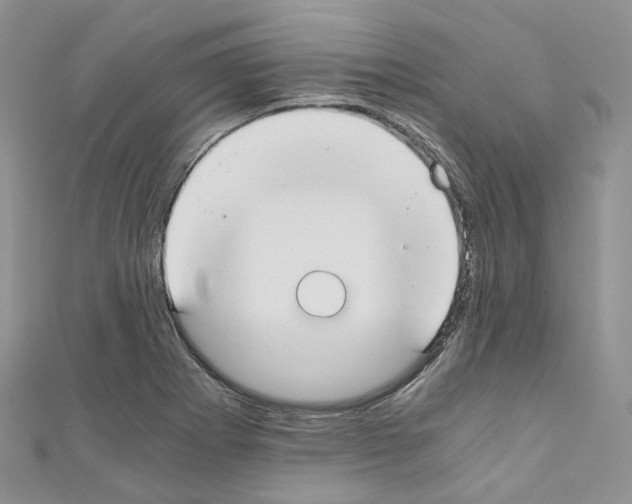 X0000110691273200907241056