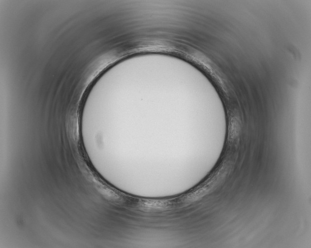 X0000110691274200907241056