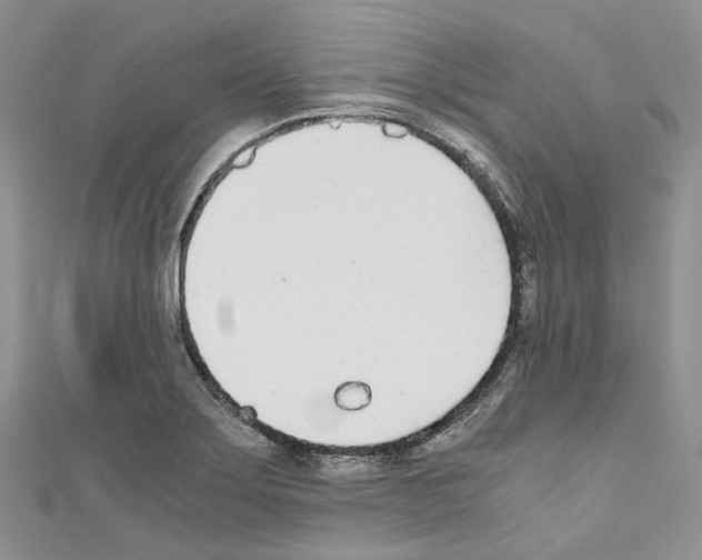 X0000110691275200907241056