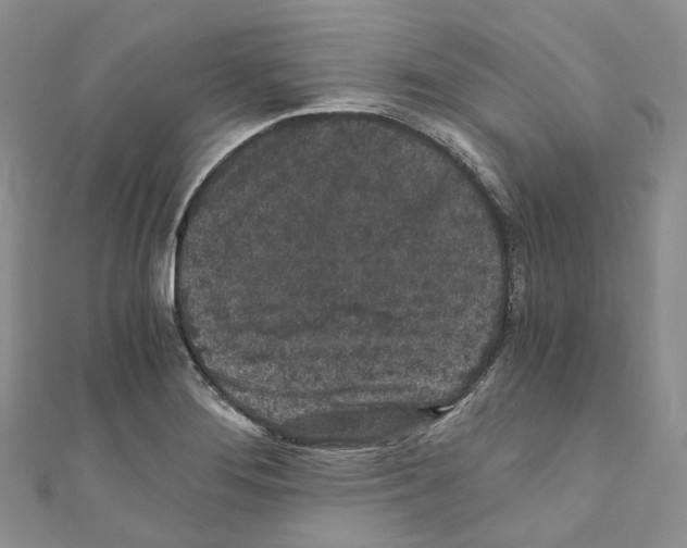 X0000110691276200907241056