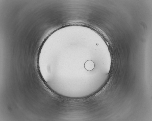 X0000110691277200907241056