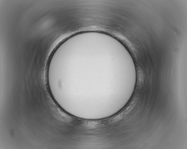 X0000110691278200907241056