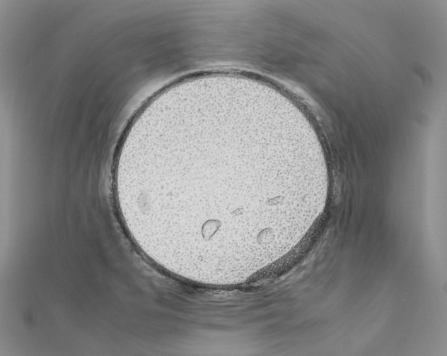 X0000110691279200907241056