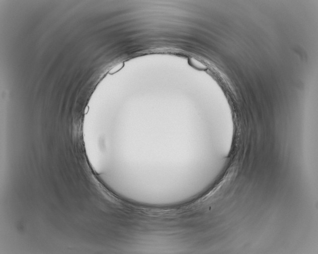 X0000110691281200907241056