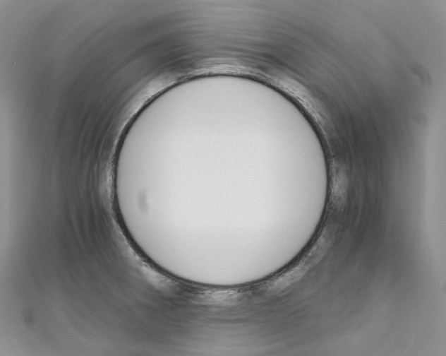 X0000110691282200907241056