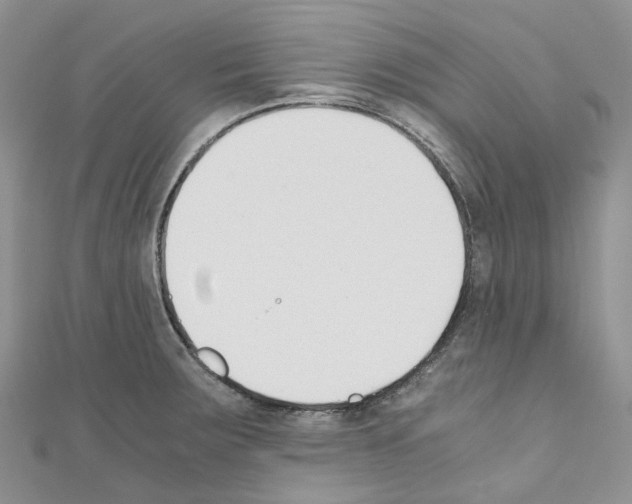 X0000110691283200907241056