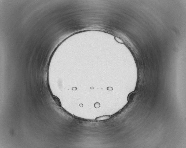 X0000110691284200907241056