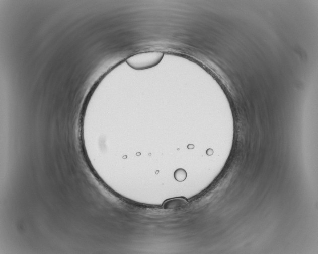 X0000110691285200907241056