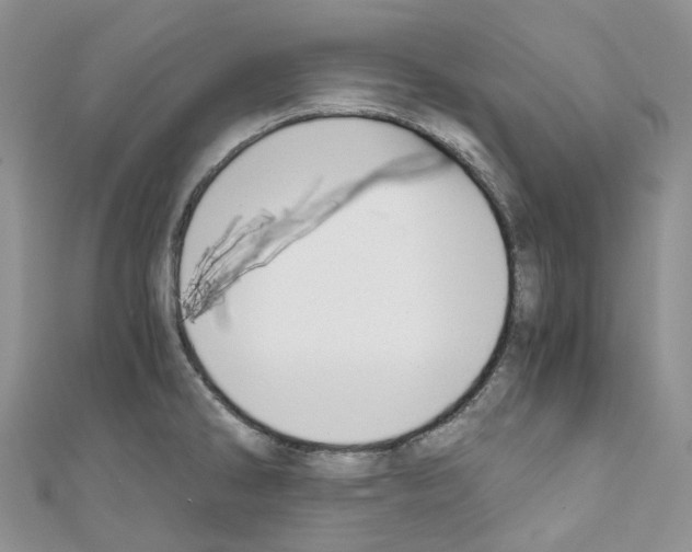 X0000110691286200907241056