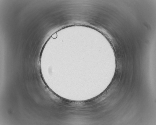 X0000110691287200907241056