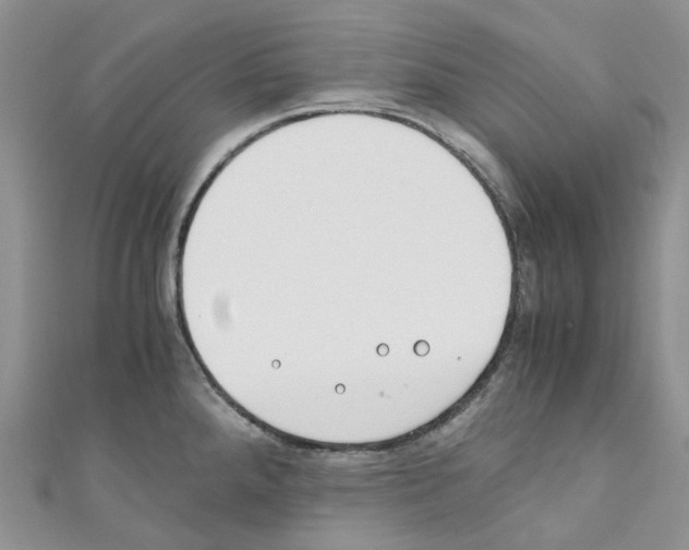 X0000110691288200907241056