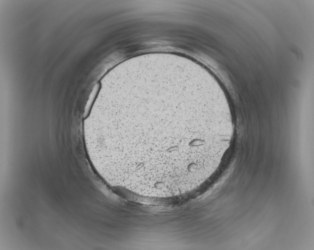 X0000110691289200907241056